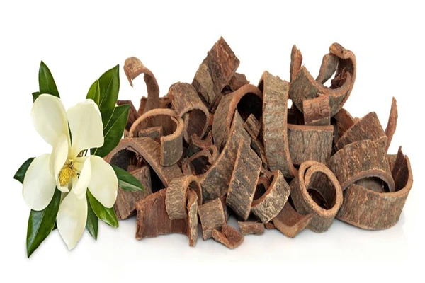Magnolia Officinalis Extract