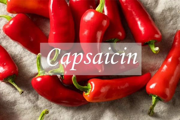 Capsaicin Capsaicin